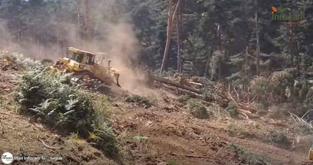 Las excavadoras se están afanado en abrir cortafuegos en el bosque. Foto INFOCAM Incendio Sierra Norte - Día martes 21-Julio maquinaria excavadora 1
