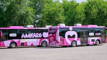 Autobuses Red Amparo